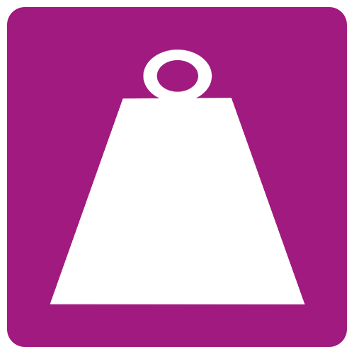 Icon Bodentraglast